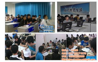 信息技術(shù)綜合服務(wù) 從咨詢到開(kāi)發(fā)的全面解決方案